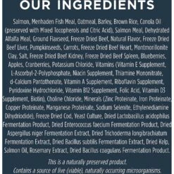 Instinct Raw Boost Whole Grain Real Salmon & Brown Rice Recipe Freeze-Dried Raw Coated Dry Dog Food -Cozy Paws 219432 PT5. AC SS1800 V1583521491