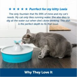 PetSafe Drinkwell Butterfly Dog & Cat Drinking Fountain, 50-oz 14 PetSafe Drinkwell Butterfly Dog & Cat Drinking Fountain, 50-oz -Cozy Paws 222223 PT5. AC SS1800 V1676398887