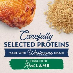 Natural Balance Limited Ingredient Lamb & Brown Rice Puppy Recipe Dry Dog Food -Cozy Paws 222285 PT2. AC SS1800 V1677017717