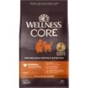 Wellness CORE Wholesome Grains Original Recipe High Protein Dry Dog Food -Cozy Paws 222317 MAIN. AC SS1800 V1633477611