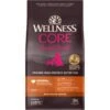 Wellness CORE Wholesome Grains Small Breed Original Recipe High Protein Dry Dog Food