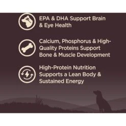 Wellness CORE Wholesome Grains Puppy High Protein Dry Dog Food -Cozy Paws 222326 PT2. AC SS1800 V1677612891