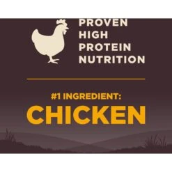 Wellness CORE Wholesome Grains Puppy High Protein Dry Dog Food -Cozy Paws 222326 PT4. AC SS1800 V1585144373