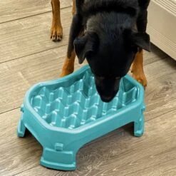 Neater Pets Adjustable Non-Skid Plastic Slow Feeder Dog & Cat Bowl -Cozy Paws 224731 pt7. AC SS1800 V1583446149
