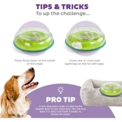 Nina Ottosson By Outward Hound Wobble Plastic Slow Feeder Dog Bowl 15 Nina Ottosson By Outward Hound Wobble Plastic Slow Feeder Dog Bowl -Cozy Paws 226747 PT4. AC SS1800 V1694440055