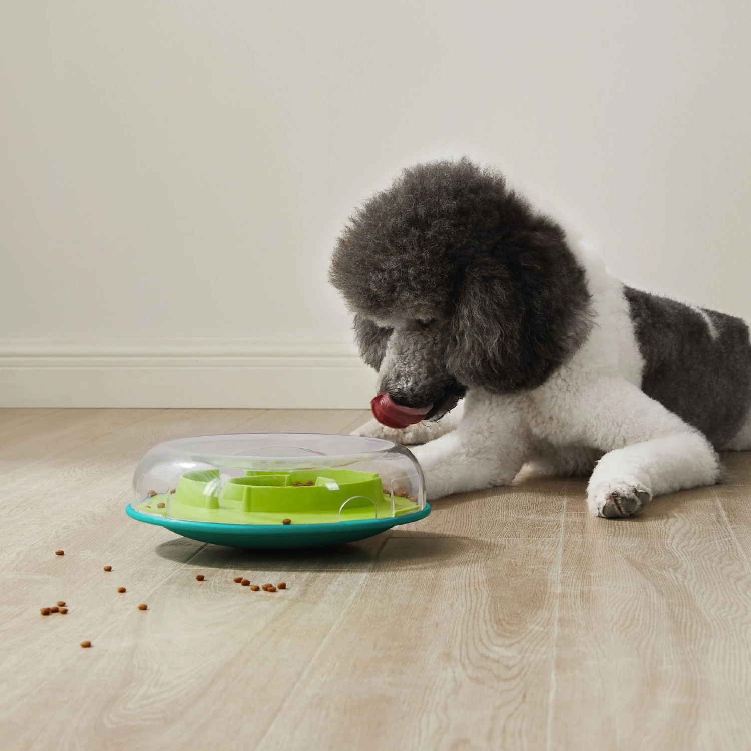 Nina Ottosson By Outward Hound Wobble Plastic Slow Feeder Dog Bowl 8 Nina Ottosson By Outward Hound Wobble Plastic Slow Feeder Dog Bowl - Image 6