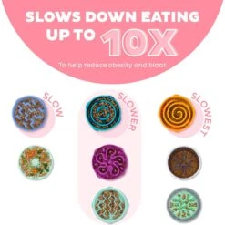 Outward Hound Non-Skid Plastic Slow Feeder Wave Dog Bowl -Cozy Paws 226749 PT1. AC SS1800 V1694440100