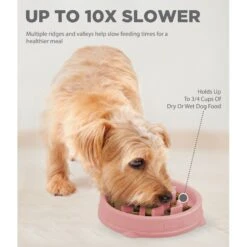 Outward Hound Non-Skid Plastic Slow Feeder Wave Dog Bowl -Cozy Paws 226749 PT2. AC SS1800 V1694286101