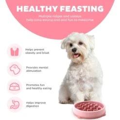 Outward Hound Non-Skid Plastic Slow Feeder Wave Dog Bowl -Cozy Paws 226749 PT3. AC SS1800 V1694439616