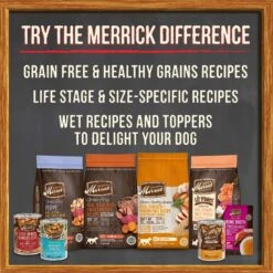 Merrick Chunky Recipes Grain-Free Wet Dog Food Variety Pack -Cozy Paws 227052 PT8. AC SS1800 V1624390961