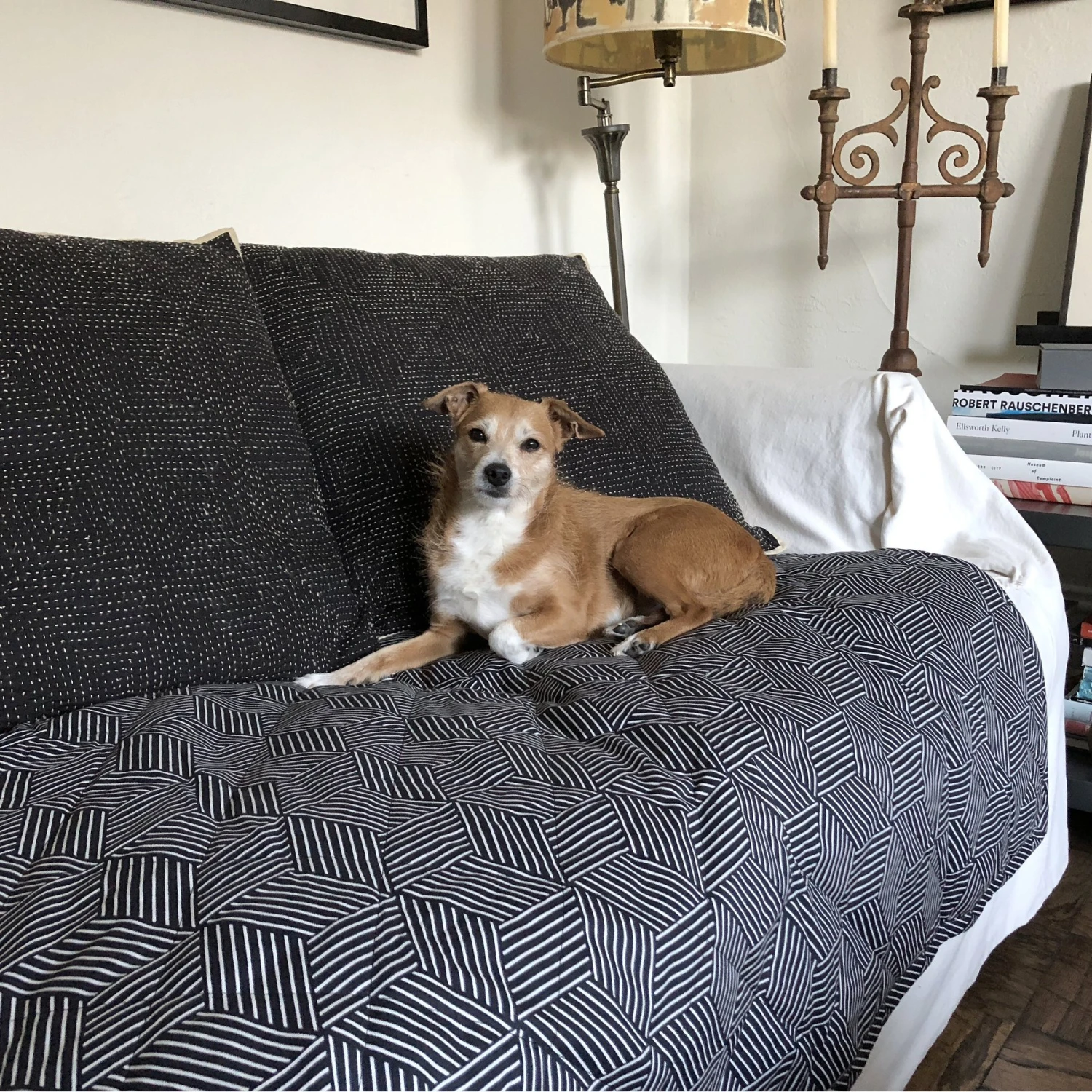 Molly Mutt Rough Gem Dog & Cat Blanket, Graphite 4 Molly Mutt Rough Gem Dog & Cat Blanket, Graphite - Image 2