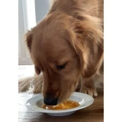 Caru Daily Dish Chicken Broth Human-Grade Dog & Cat Wet Food Topper, 1.1-lb Bottle -Cozy Paws 227867 PT3. AC SS1800 V1700598715