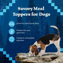 Blue Buffalo Wilderness Trail Toppers Wild Cuts Variety Pack Chunky Chicken & Beef Bites In Gravy Grain-Free Dog Food Topper, 3-oz, Pouch Of 12 -Cozy Paws 228599 PT3. AC SS1800 V1689357639