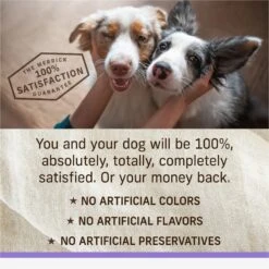 Merrick Backcountry Raw Infused Puppy Recipe + Grains With Chicken & Salmon Freeze-Dried Dry Dog Food -Cozy Paws 229214 PT7. AC SS1800 V1693933705