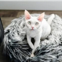 Mau Lifestyle Fluffi Donut Dog & Cat Bed -Cozy Paws 230606 PT2. AC SS1800 V1603410116