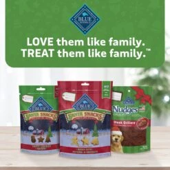 Blue Buffalo Holiday Santa Snacks Oatmeal & Cinnamon Crunchy Dog Treats, 11-oz Bag -Cozy Paws 230641 PT6. AC SS1800 V1695054202
