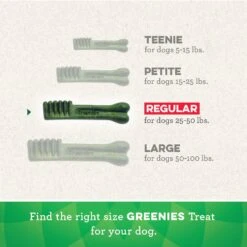 Greenies Original Regular Holiday Dental Dog Treats, 6 Count -Cozy Paws 231258 PT4. AC SS1800 V1594053095