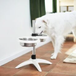 Frisco Adjustable Stainless Steel Double Elevated Dog Bowls 15 Frisco Adjustable Stainless Steel Double Elevated Dog Bowls -Cozy Paws 232097 PT8. AC SS1800 V1605740511