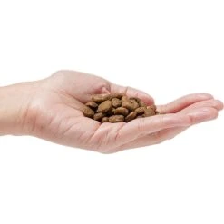 Dr. Pol Healthy Balance Salmon Recipe Grain-Free Dry Dog Food -Cozy Paws 232536 PT2. AC SS1800 V1682711638