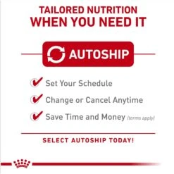 Royal Canin Breed Health Nutrition Pomeranian Adult Loaf In Sauce Canned Dog Food -Cozy Paws 234005 PT4. AC SS1800 V1696614257