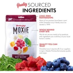 Grandma Lucy's Moxie Beef Recipe Freeze-Dried Dog Food -Cozy Paws 234280 PT3. AC SS1800 V1676646756