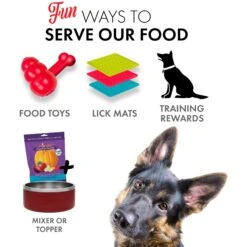 Grandma Lucy's Pumpkin Pouch Digestive Freeze-Dried Dog & Cat Food Topper, 6-oz Bag -Cozy Paws 234284 PT5. AC SS1800 V1676648118