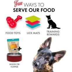 Grandma Lucy's Pumpkin Pouch Skin & Coat Freeze-Dried Dog & Cat Food Topper, 6-oz Bag -Cozy Paws 234290 PT5. AC SS1800 V1676646876