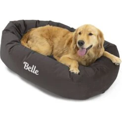 Majestic Pet Velvet Personalized Bagel Cat & Dog Bed -Cozy Paws 234693 PT4. AC SS1800 V1633964354