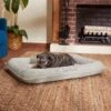 Frisco Orthopedic Personalized Bolster Dog Bed W/Removable Cover, Light Gray -Cozy Paws 234952 MAIN. AC SS1800 V1600207055