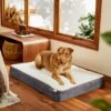 Frisco Orthopedic Pillow Cat & Dog Bed -Cozy Paws 235036 MAIN. AC SS1800 V1602690401