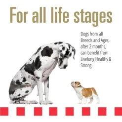 Livelong Healthy & Strong Chicken & Sweet Potato Recipe Wet Dog Food, 12.5-oz Can, Case Of 12 -Cozy Paws 235062 PT3. AC SS1800 V1589915756