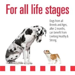 Livelong Healthy & Strong Lamb, Beef & Sweet Potato Recipe Wet Dog Food, 12.5-oz Can, Case Of 12 11 Livelong Healthy & Strong Lamb, Beef & Sweet Potato Recipe Wet Dog Food, 12.5-oz Can, Case Of 12 -Cozy Paws 235064 PT3. AC SS1800 V1589915475