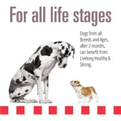 Livelong Healthy & Strong Bison/Buffalo & Sweet Potato Recipe Wet Dog Food, 12.8-oz Can, Case Of 12 -Cozy Paws 235068 PT3. AC SS1800 V1589915466