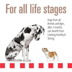 Livelong Healthy & Strong Pork & Sweet Potato Recipe Wet Dog Food, 12.5-oz Can, Case Of 12 -Cozy Paws 235072 PT3. AC SS1800 V1589915496