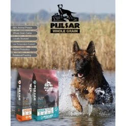 Horizon Pulsar Whole Grain Chicken Recipe Dry Dog Food -Cozy Paws 235339 PT3. AC SS1800 V1607990558
