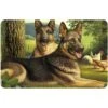 Bungalow Flooring German Shepherds & Chickens Dog Dinner Mat, 36 X 23-in -Cozy Paws 235673 MAIN. AC SS1800 V1591390316