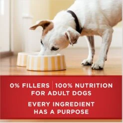 Purina ONE SmartBlend Tender Cuts In Gravy Variety Pack Wet Dog Food 18 Purina ONE SmartBlend Tender Cuts In Gravy Variety Pack Wet Dog Food -Cozy Paws 236585 PT7. AC SS1800 V1671815599