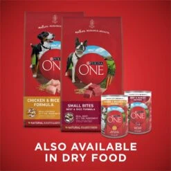 Purina ONE SmartBlend Tender Cuts In Gravy Variety Pack Wet Dog Food 19 Purina ONE SmartBlend Tender Cuts In Gravy Variety Pack Wet Dog Food -Cozy Paws 236585 PT8. AC SS1800 V1671735635