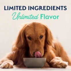 Natural Balance Limited Ingredient Grain-Free Chicken & Sweet Potato Recipe Dry Dog Food -Cozy Paws 237939 PT8. AC SS1800 V1652156806