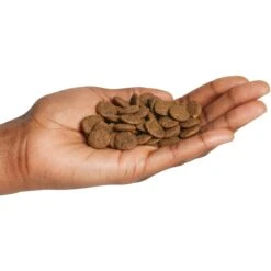 Natural Balance Limited Ingredient Grain-Free Salmon & Sweet Potato Recipe Dry Dog Food -Cozy Paws 237945 PT2. AC SS1800 V1652124084