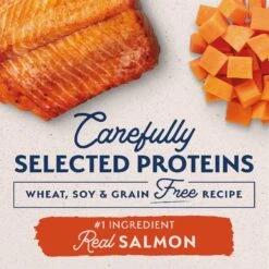 Natural Balance Limited Ingredient Grain-Free Salmon & Sweet Potato Recipe Dry Dog Food -Cozy Paws 237945 PT3. AC SS1800 V1652125118