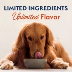 Natural Balance Limited Ingredient Grain-Free Salmon & Sweet Potato Recipe Dry Dog Food -Cozy Paws 237945 PT8. AC SS1800 V1652156827