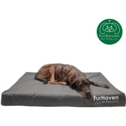 FurHaven Deluxe Oxford Memory Foam Indoor/Outdoor Dog & Cat Bed With Removable Cover -Cozy Paws 238798 PT3. AC SS1800 V1606354612