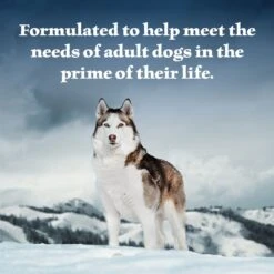 Blue Buffalo Wilderness Turkey & Chicken Grill With Oats & Barley Adult Wet Dog Food -Cozy Paws 242857 PT3. AC SS1800 V1628004748