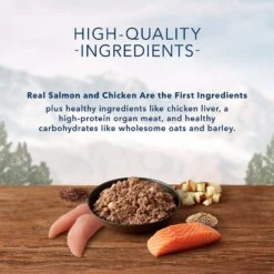 Blue Buffalo Wilderness Salmon & Chicken Grill With Oats & Barley Adult Wet Dog Food -Cozy Paws 242859 PT3. AC SS1800 V1628004776