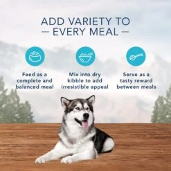 Blue Buffalo Wilderness Salmon & Chicken Grill With Oats & Barley Adult Wet Dog Food -Cozy Paws 242859 PT4. AC SS1800 V1628006209