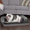 FurHaven Plush & Velvet Cooling Gel Comfy Couch Dog & Cat Bed -Cozy Paws 244481 MAIN. AC SS1800 V1602332469