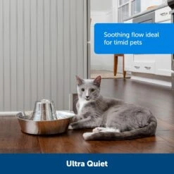 PetSafe Seaside Stainless Steel Cat Water Fountain, 60-oz -Cozy Paws 247079 PT4. AC SS1800 V1663967934