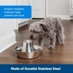 PetSafe Seaside Stainless Steel Cat Water Fountain, 60-oz -Cozy Paws 247079 PT5. AC SS1800 V1663967298