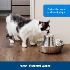 PetSafe Seaside Stainless Steel Cat Water Fountain, 60-oz -Cozy Paws 247079 PT6. AC SS1800 V1663966968